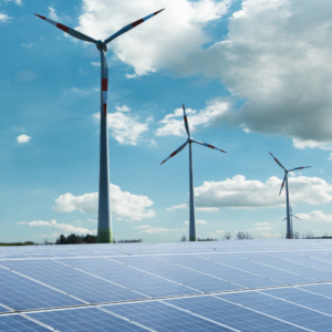 Der Westhof bietet nachhaltiges Bio-Gemüse und setzt dabei auf regenerative Energiequellen. Klimafreundlich und ressourcenschonend produzieren wir mit Windenergie, Solarenergie und Biogas. Unsere netzdienlichen Energiespeicher sichern eine stabile und umweltfreundliche Versorgung.