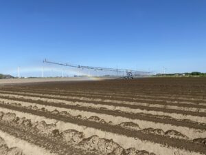 Our organic vegetables, including our delicious organic carrots, thrive thanks to sustainable irrigation. This climate-friendly method promotes optimal plant growth and ensures the quality of our harvest.