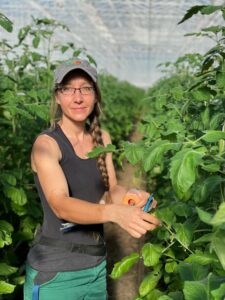 In our organic greenhouse, motivated employees passionately tend to our organic tomatoes and organic peppers. Their dedication to plant care ensures the high quality of our organic vegetables.