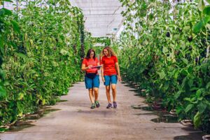 Our long-term commitment to organic vegetables is evident in every organic bell pepper, organic tomato, and organic eggplant that we cultivate with the highest quality and dedication. Our motivated employees work hard every day to offer you the best in certified organic farming