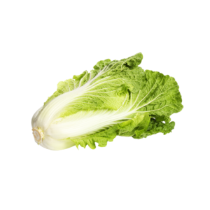 Bio-Chinakohl