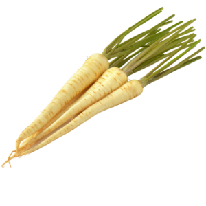 Bio-Petersilienwurzeln