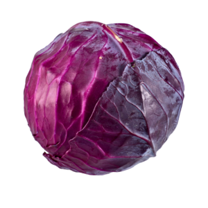Bio-Rotkohl