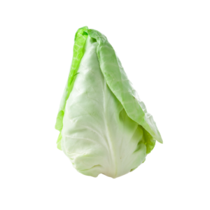 Bio-Spitzkohl