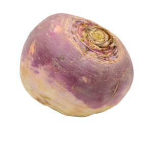 Bio-Steckrüben