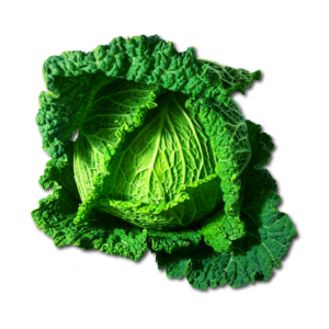 Bio-Wirsing