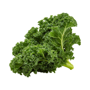 Bio-Grünkohl