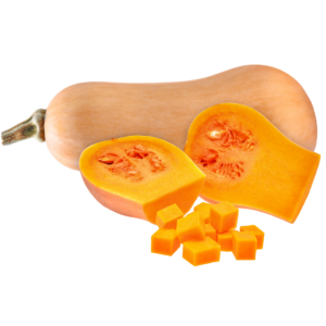 Bio-Kürbis