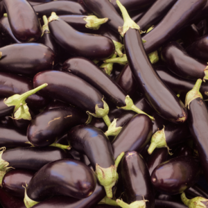 bio-auberginen