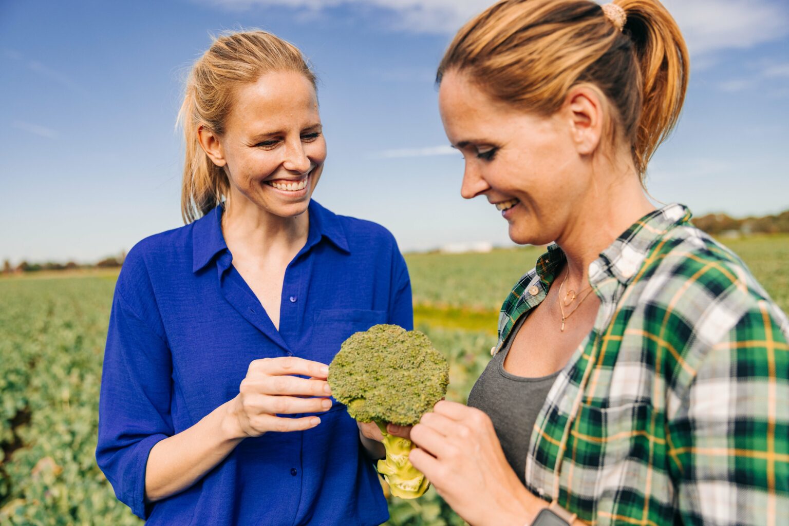 At Westhof, we focus on sustainable organic farming to guarantee the best quality. Our range includes organic vegetables such as broccoli and other cabbage varieties, which are known for their excellent taste and freshness.