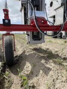 Experience sustainable organic farming at Westhof with innovative weed control using weeding robots and artificial intelligence. Thanks to these advanced technologies, our organic carrots and organic beetroot grow to the highest quality.