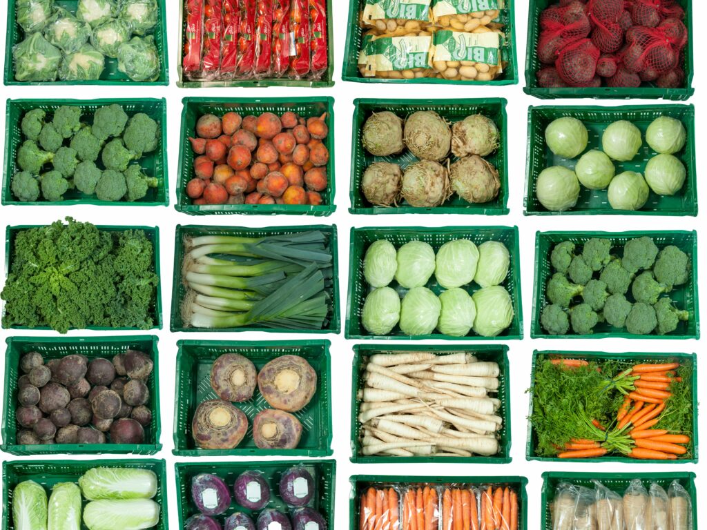 Various organic vegetables, including organic carrots, organic broccoli, organic cauliflower, organic rutabagas, organic beetroot, organic cabbage, organic leeks, organic parsley root, organic yellow beetroot, and organic parsnips, sustainably grown and presented as high-quality organic products.