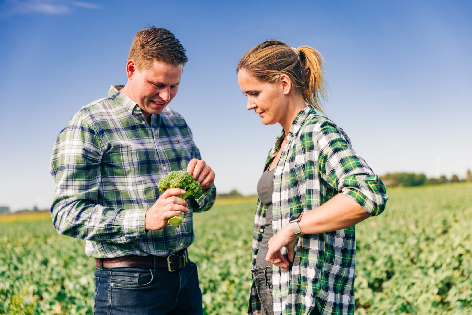 At Westhof, we are passionate about growing top-quality organic broccoli. Our organic farming methods guarantee that only the best organic vegetables end up on your plate. Discover our first-class organic vegetables and see for yourself the dedication we put into every stage of production.