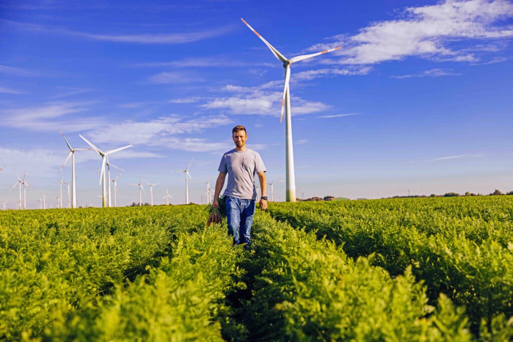 Discover the wide range of organic vegetables from Westhof! With our innovative approach, we focus on sustainable cultivation and the highest quality. Enjoy fresh organic carrots and organic vegetables that come directly from our sustainable farm, grown with love and care.